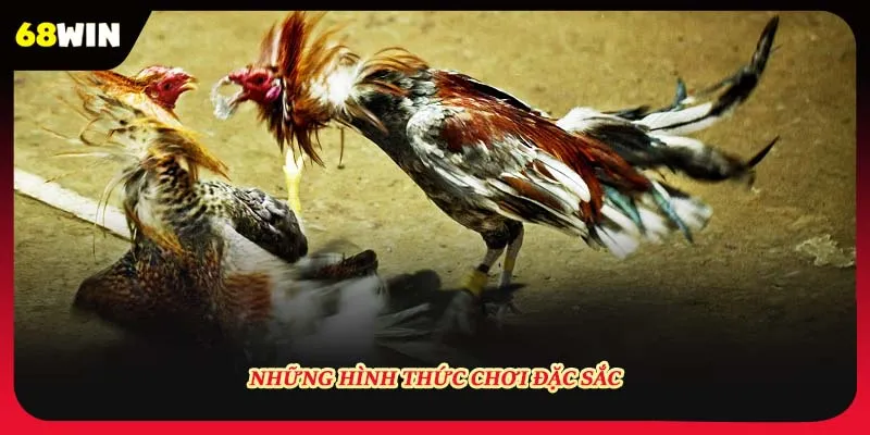 Những hình thức chơi đặc sắc