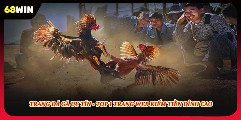 Trang Đá Gà Uy Tín - Top 1 Trang Web Kiếm Tiền Đỉnh Cao